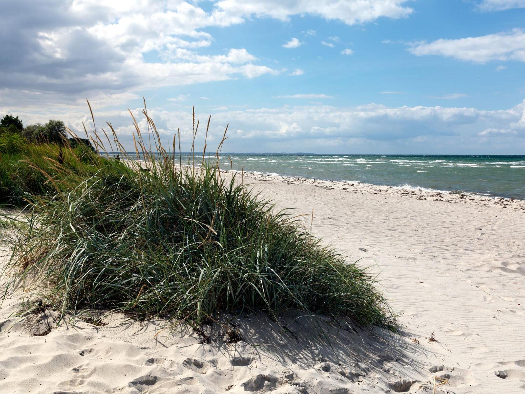 Inselhaeuser Kaltenhof Inselhaus Poel 2 Eksteriør bilde